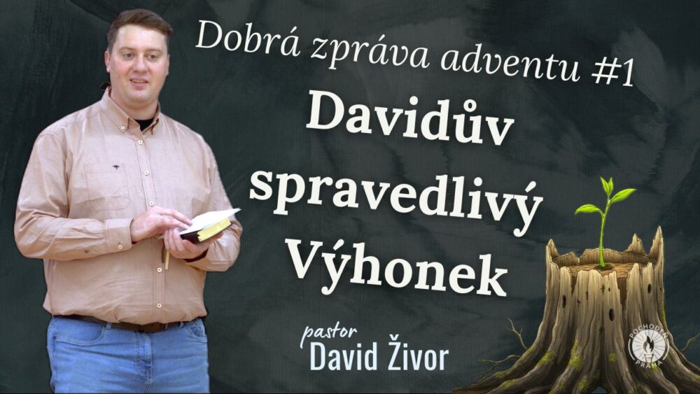 Davidův spravedlivý Výhonek Image